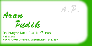 aron pudik business card